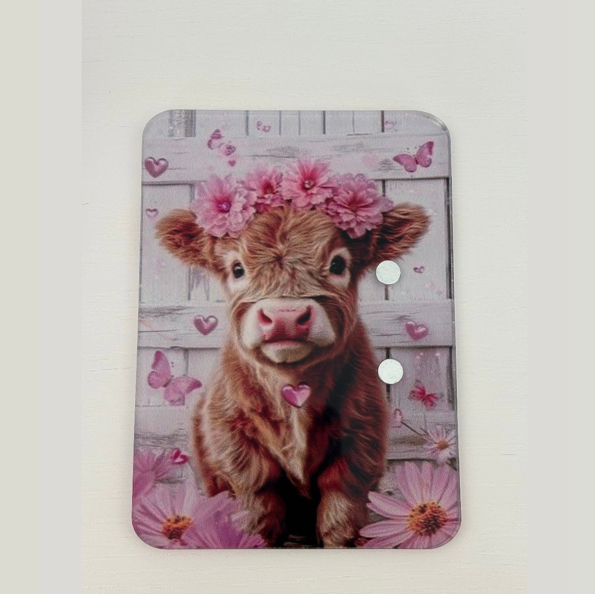 Daisy Moo🌸