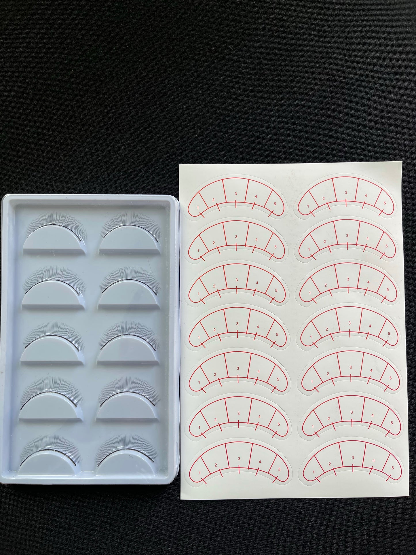 Lash Practice Trays w/ Mapping Stickers